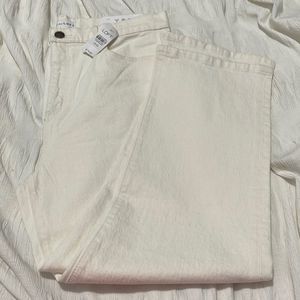 NWT- LOFT- 31/12 & 32/14